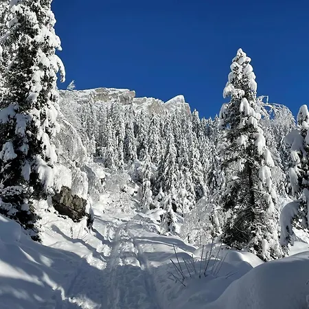 Chalet Du Grand Cerf